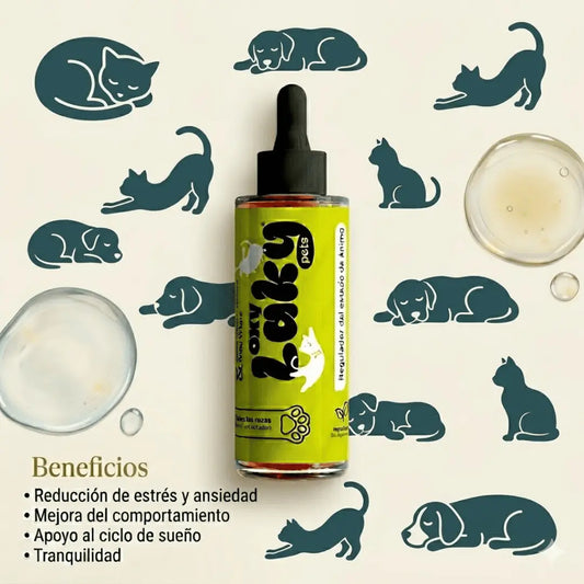 Laky pets: Su tranquilidad es su salud
