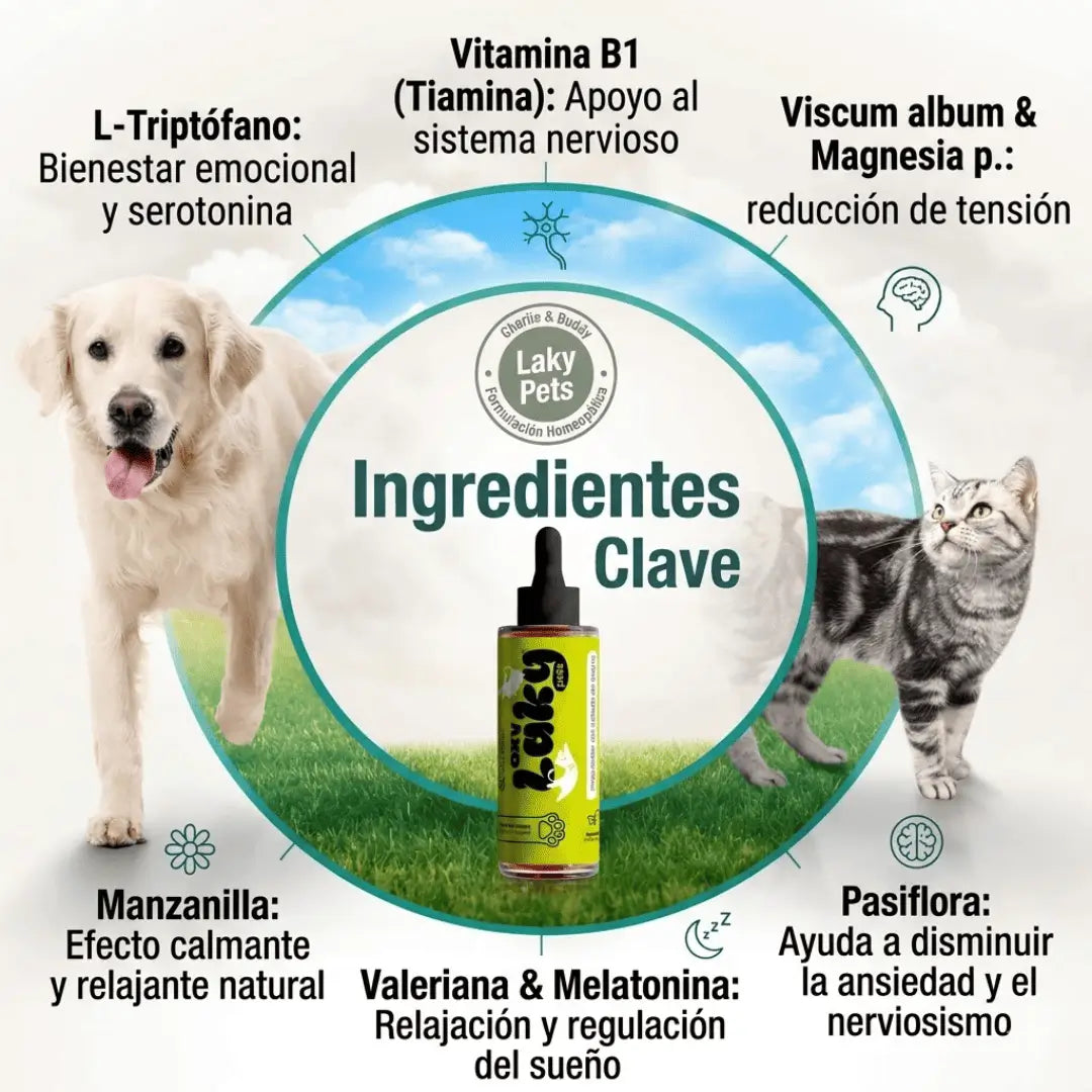 Laky pets: Su tranquilidad es su salud
