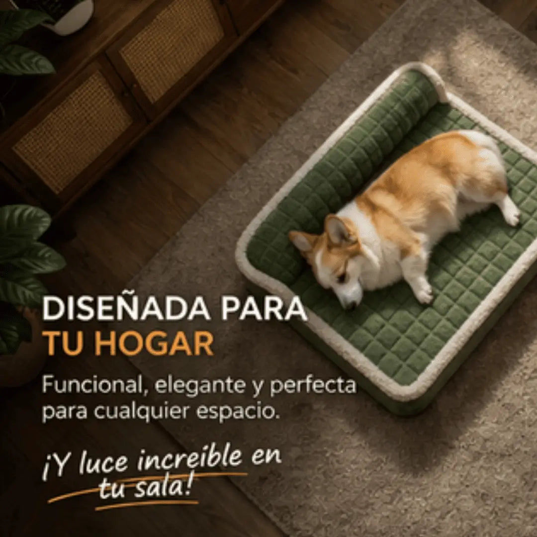 VetRest: Cuídalo de noche como él te cuida de día